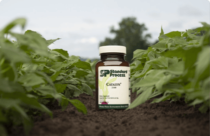 SP_Banner_Catlyn-2@2x-1