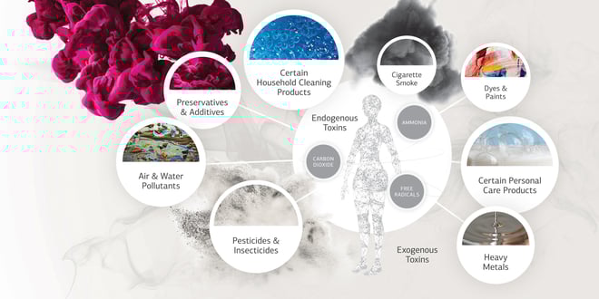 Web map of toxins found within our bodies.